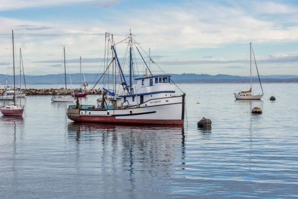 barco pesquero